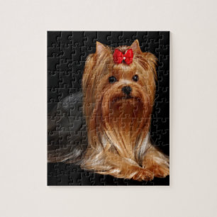 Yorkshire Terrier Jigsaw Puzzle