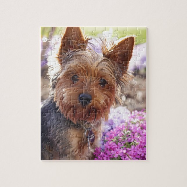 Yorkshire Terrier Jigsaw Puzzle (Vertical)