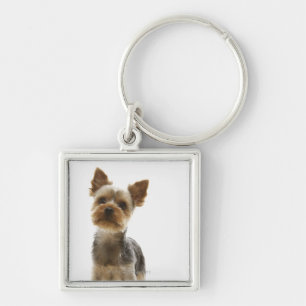 Yorkshire Terrier Key Ring