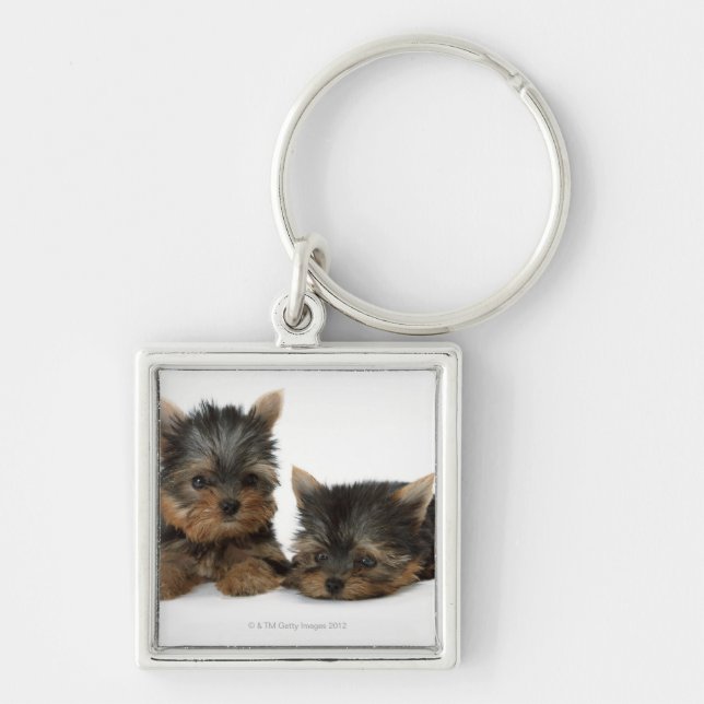 Yorkshire Terrier Key Ring (Front)