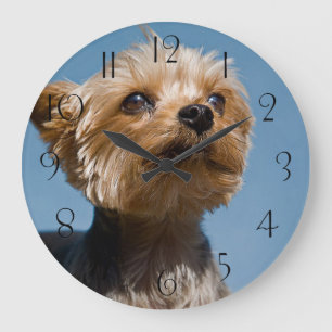 Yorkshire Terrier Large Clock