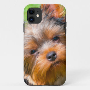 Yorkshire Terrier looking up iPhone 11 Case