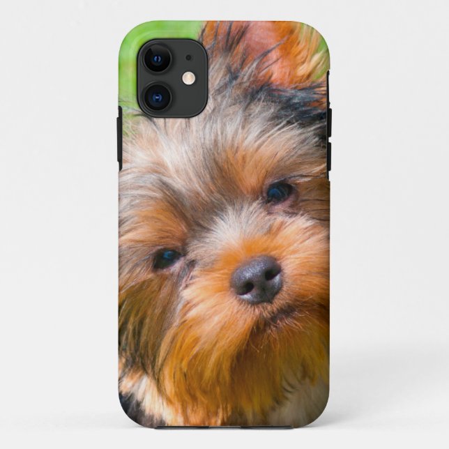 Yorkshire Terrier looking up Case-Mate iPhone Case (Back)