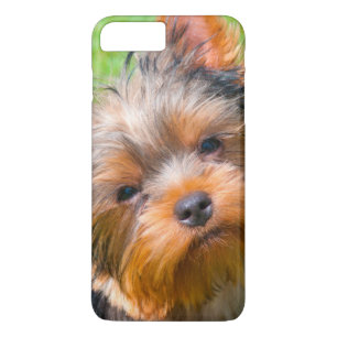 Yorkshire Terrier looking up iPhone 8 Plus/7 Plus Case