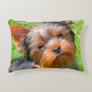 Yorkshire Terrier looking up Decorative Cushion