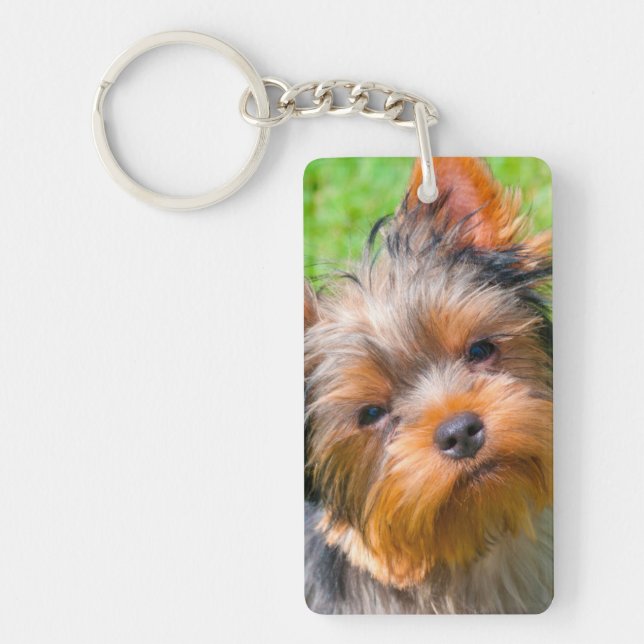 Yorkshire Terrier looking up Key Ring (Front)