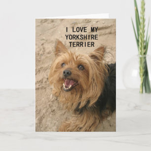 yorkshire terrier love w pic black and tan card