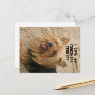 yorkshire terrier love w pic black and tan postcard