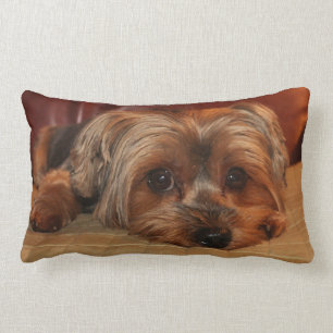 Yorkshire Terrier Lumbar Pillow