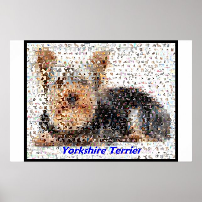 Yorkshire Terrier Montage Poster (Front)