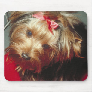 Yorkshire Terrier Mouse Pad