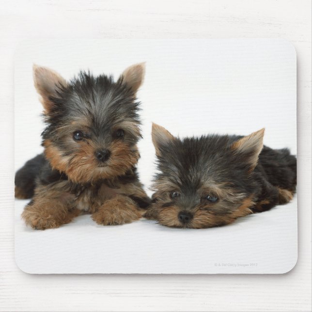 Yorkshire Terrier Mouse Pad (Front)