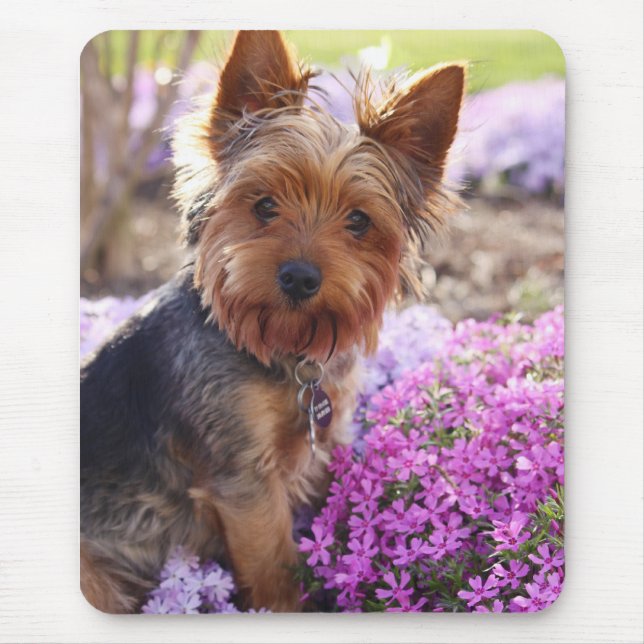 Yorkshire Terrier Mouse Pad (Front)