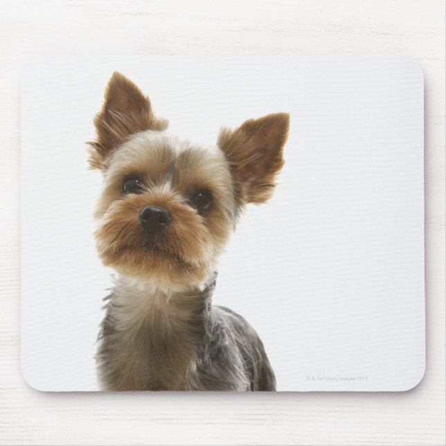 Yorkshire Terrier Mouse Pad (Front)