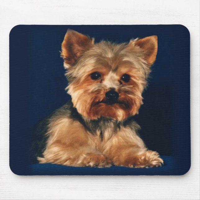 Yorkshire Terrier Mousepad (Front)