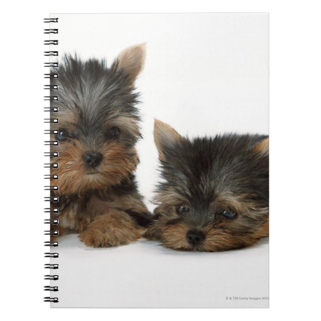 Yorkshire Terrier Notebook (Front)