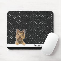 Yorkshire Terrier on Polka Dots