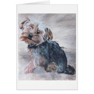 Yorkshire Terrier, Painting by Kate Marr, Card