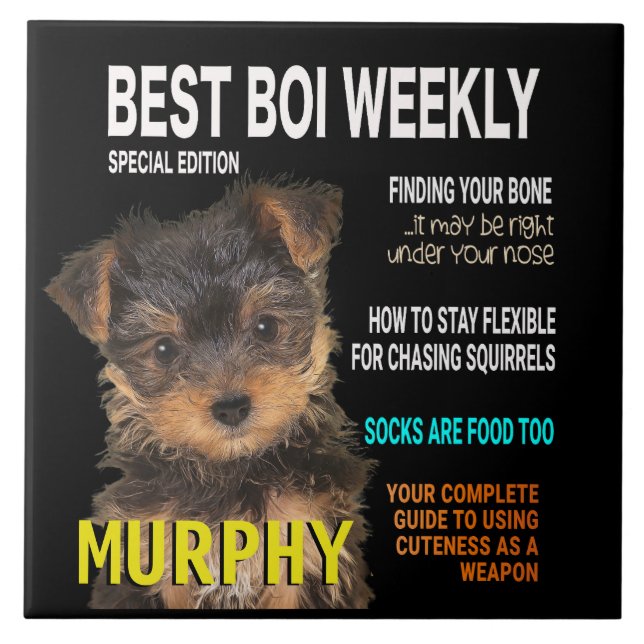 Yorkshire Terrier Parody Magazine Cover Ceramic Tile (Front)