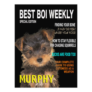 Yorkshire Terrier Parody Magazine Cover Photo Print