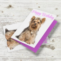 Yorkshire Terrier Pink Cute Yorkie Happy Birthday