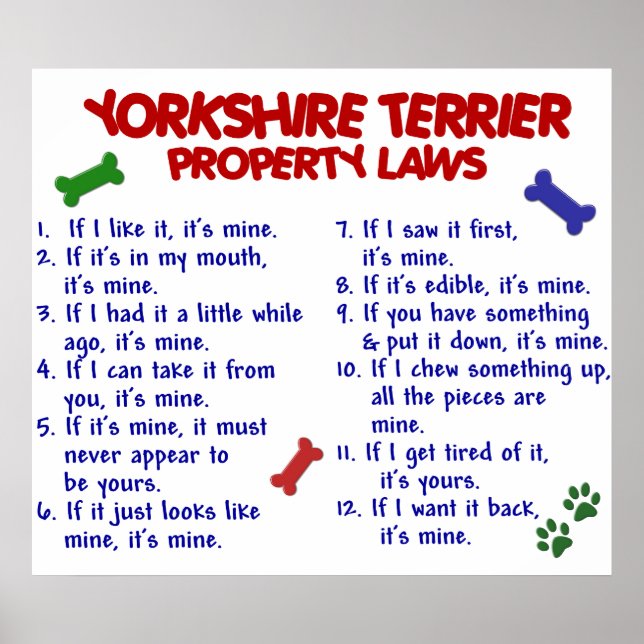 YORKSHIRE TERRIER PL2 POSTER (Front)