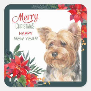 Yorkshire Terrier Poinsettia Border Square Sticker