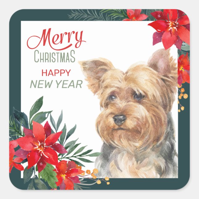 Yorkshire Terrier Poinsettia Border Square Sticker (Front)