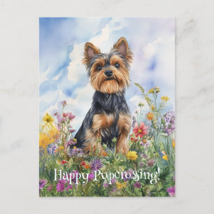 Yorkshire Terrier Postcrossing - Postcard