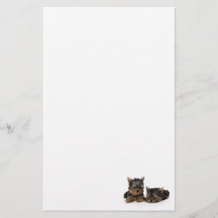 Yorkshire Terrier Puppies Stationery