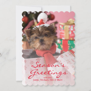 Yorkshire Terrier Puppy and Christmas 2 Holiday Card