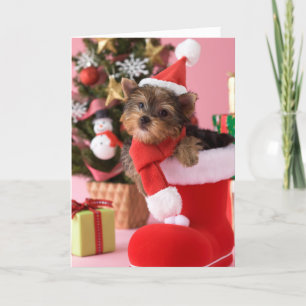 Yorkshire Terrier Puppy and Christmas Holiday Card