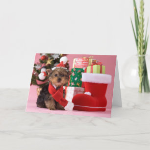Yorkshire Terrier Puppy and Christmas Holiday Card