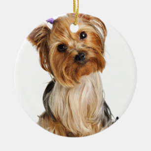 Yorkshire Terrier Puppy Ceramic Tree Decoration