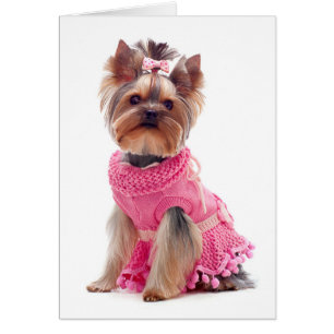 Yorkshire Terrier Puppy Dog Blank Card