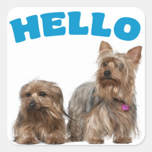 Yorkshire Terrier Puppy Dog Blue Hello Stickers