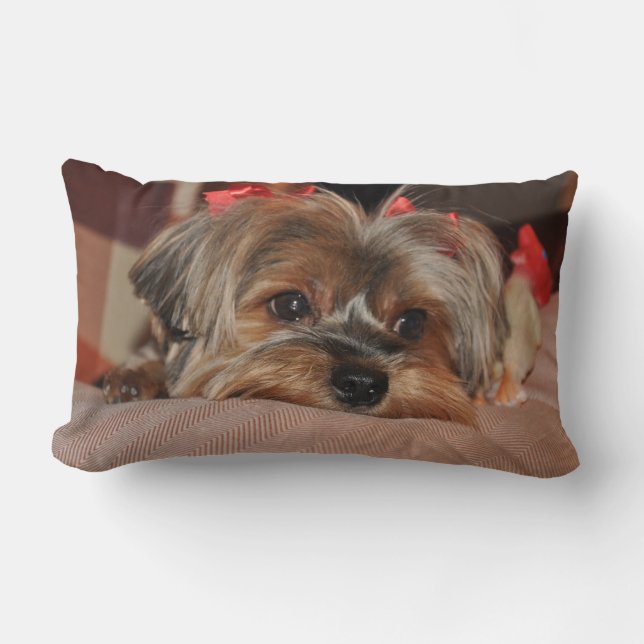 Yorkshire Terrier Puppy Lumbar Pillow (Front)
