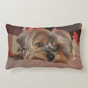 Yorkshire Terrier Puppy Lumbar Pillow