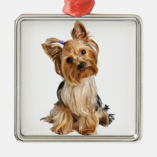 Yorkshire Terrier Puppy Metal Tree Decoration
