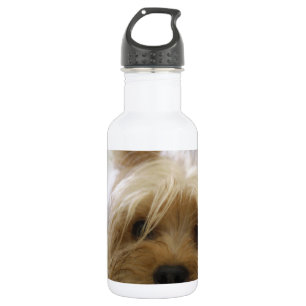 yorkshire terrier puppy pet cute dog face eyes 532 ml water bottle