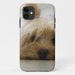 yorkshire terrier puppy pet cute dog face eyes iPhone 11 case