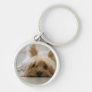 yorkshire terrier puppy pet cute dog face eyes key ring
