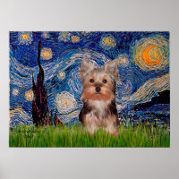 Yorkshire Terrier Puppy - Starry Night