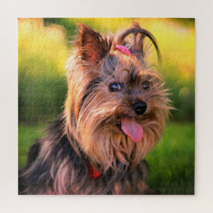 Yorkshire Terrier Puzzle