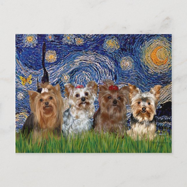 Yorkshire Terrier Quad - Starry Night Postcard (Front)