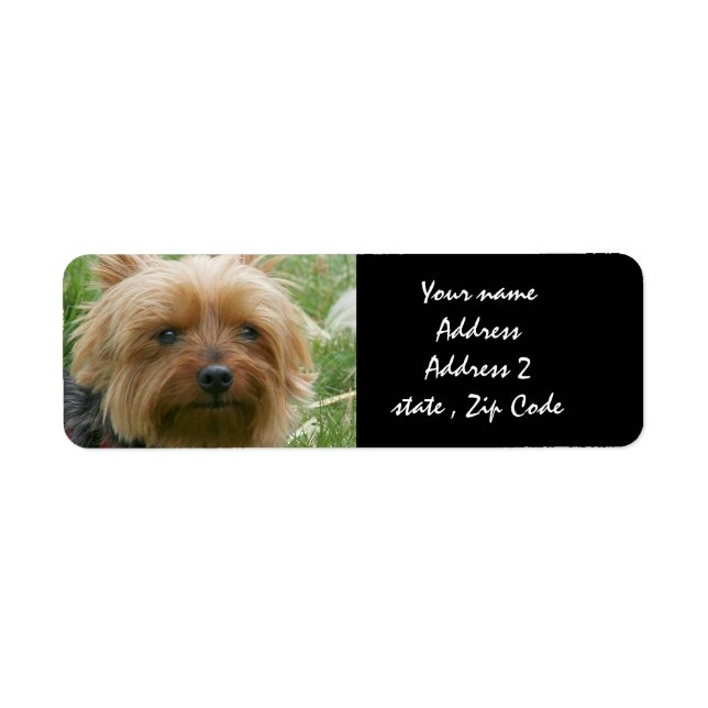Yorkshire Terrier Return Address Label (Front)