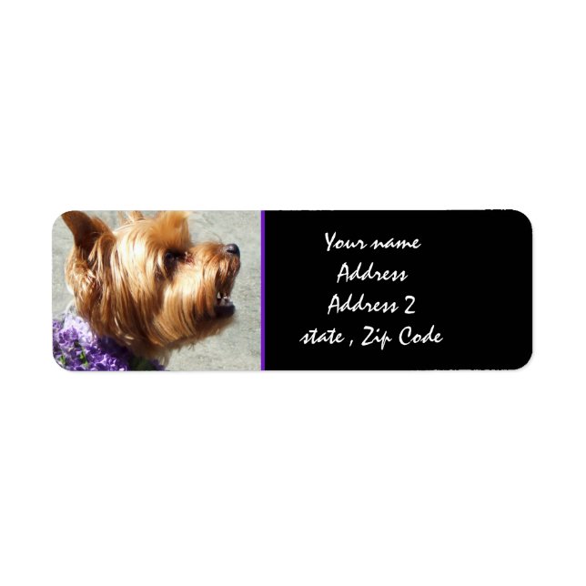 Yorkshire terrier return address label (Front)