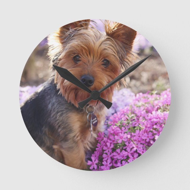 Yorkshire Terrier Round Clock (Front)