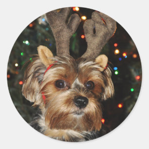 Yorkshire Terrier Round Sticker