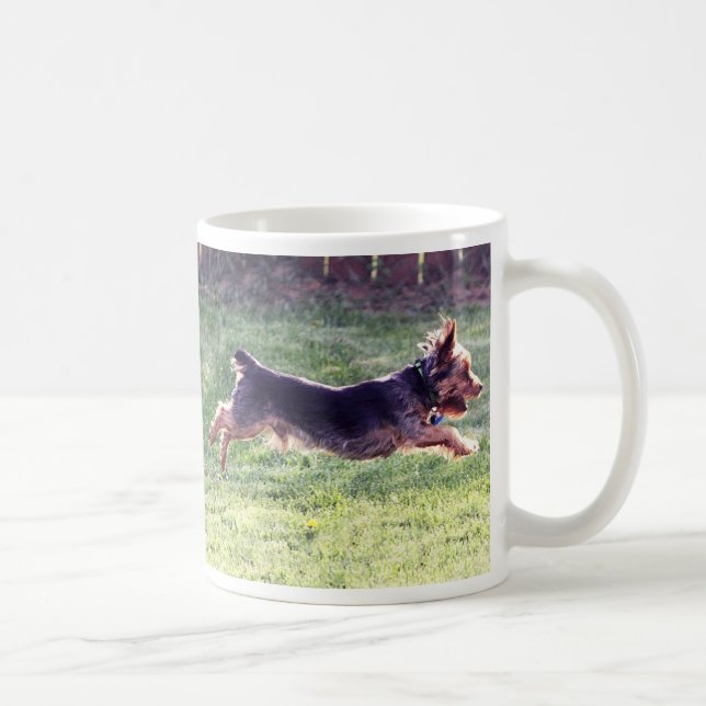 Yorkshire Terrier running Coffee Mug (Right)